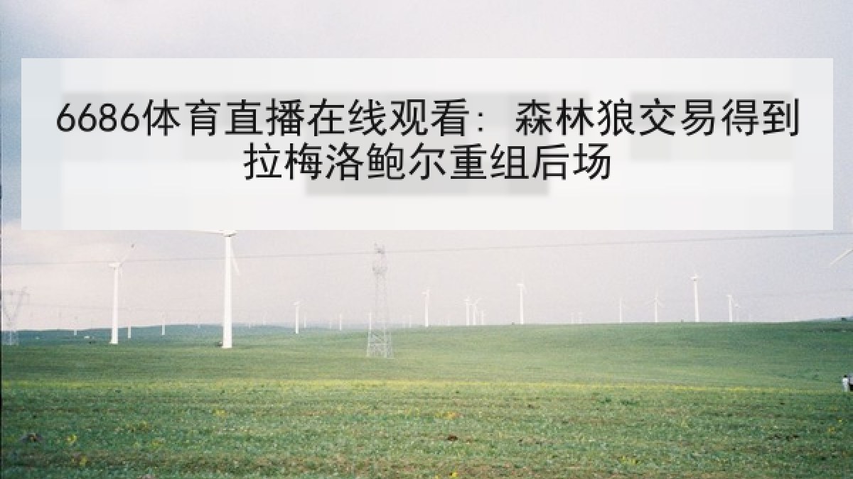 6686体育直播在线观看: 森林狼交易得到拉梅洛鲍尔重组后场