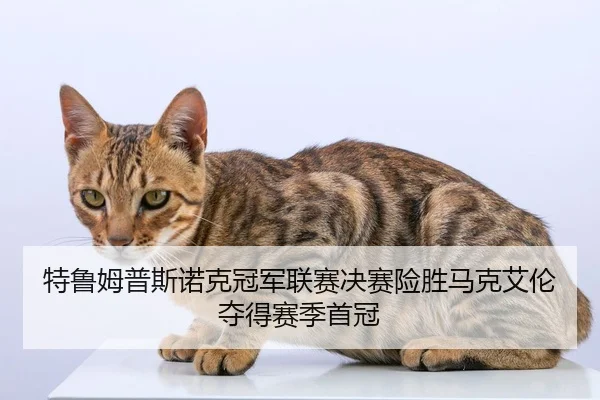 特鲁姆普斯诺克冠军联赛决赛险胜马克艾伦夺得赛季首冠