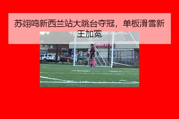 su-yi-ming-xin-xi-lan-zhan-da-tiao-tai-duo-guan-dan-ban-hua-xue-xin-wang-jia-mian-3-298.jpg