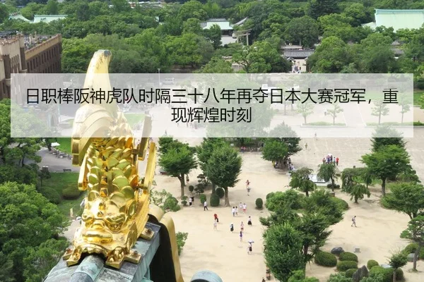 日职棒阪神虎队时隔三十八年再夺日本大赛冠军，重现辉煌时刻