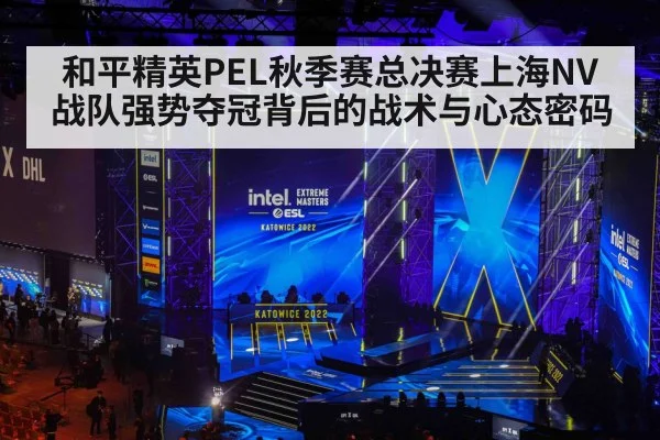 和平精英PEL秋季赛总决赛上海NV战队强势夺冠背后的战术与心态密码